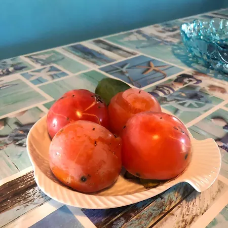 Rita's Vista Mare- Foxilioni Дом отдыха Тортоли